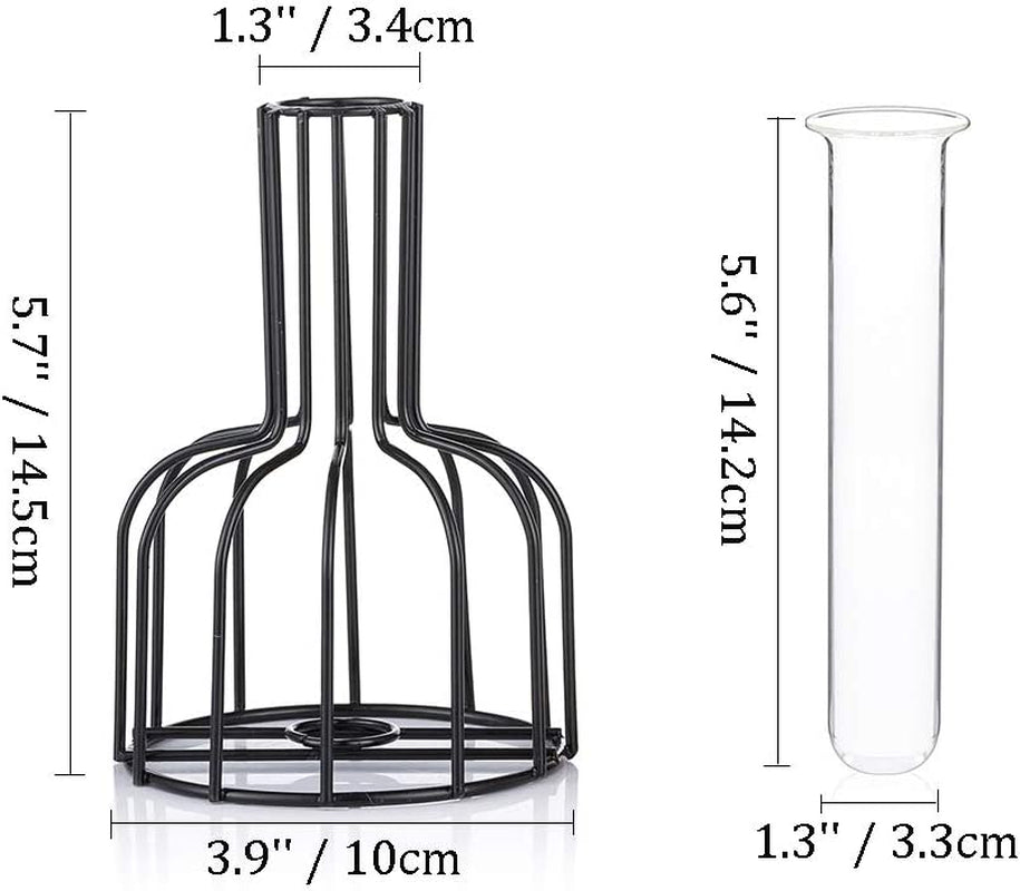 Glass Propagation Station with Metal Frame, Set of 2 Black Flower Vase, Test Tube Vase for Hydroponic Plant, Small Bud Vase for Home Kitchen Office Table Top Decor, Black
