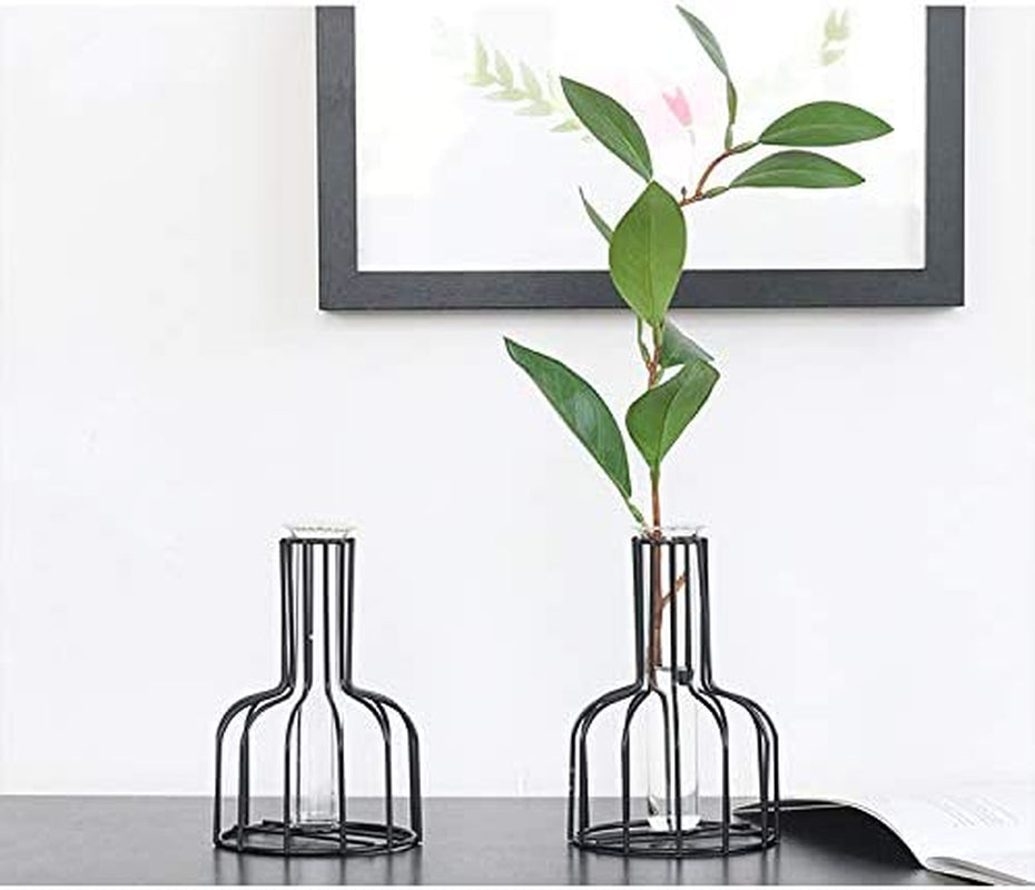Glass Propagation Station with Metal Frame, Set of 2 Black Flower Vase, Test Tube Vase for Hydroponic Plant, Small Bud Vase for Home Kitchen Office Table Top Decor, Black