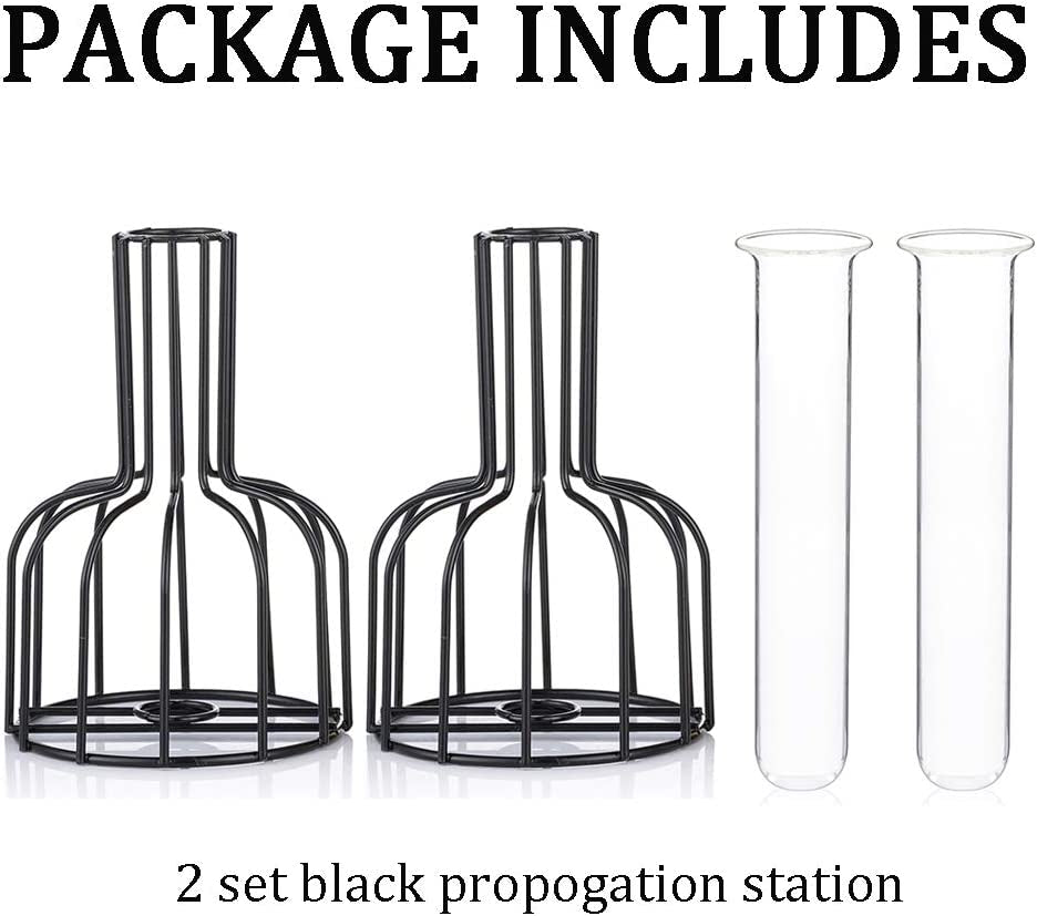 Glass Propagation Station with Metal Frame, Set of 2 Black Flower Vase, Test Tube Vase for Hydroponic Plant, Small Bud Vase for Home Kitchen Office Table Top Decor, Black