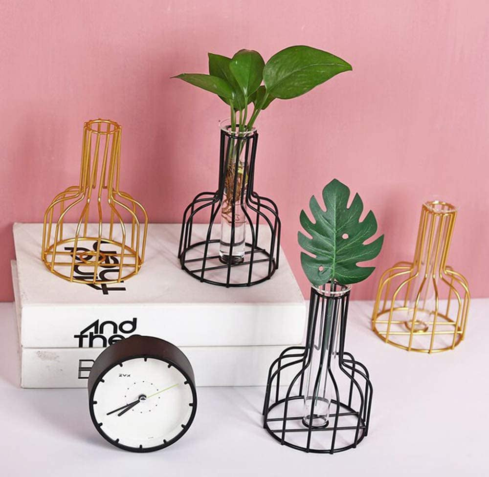 Glass Propagation Station with Metal Frame, Set of 2 Black Flower Vase, Test Tube Vase for Hydroponic Plant, Small Bud Vase for Home Kitchen Office Table Top Decor, Black