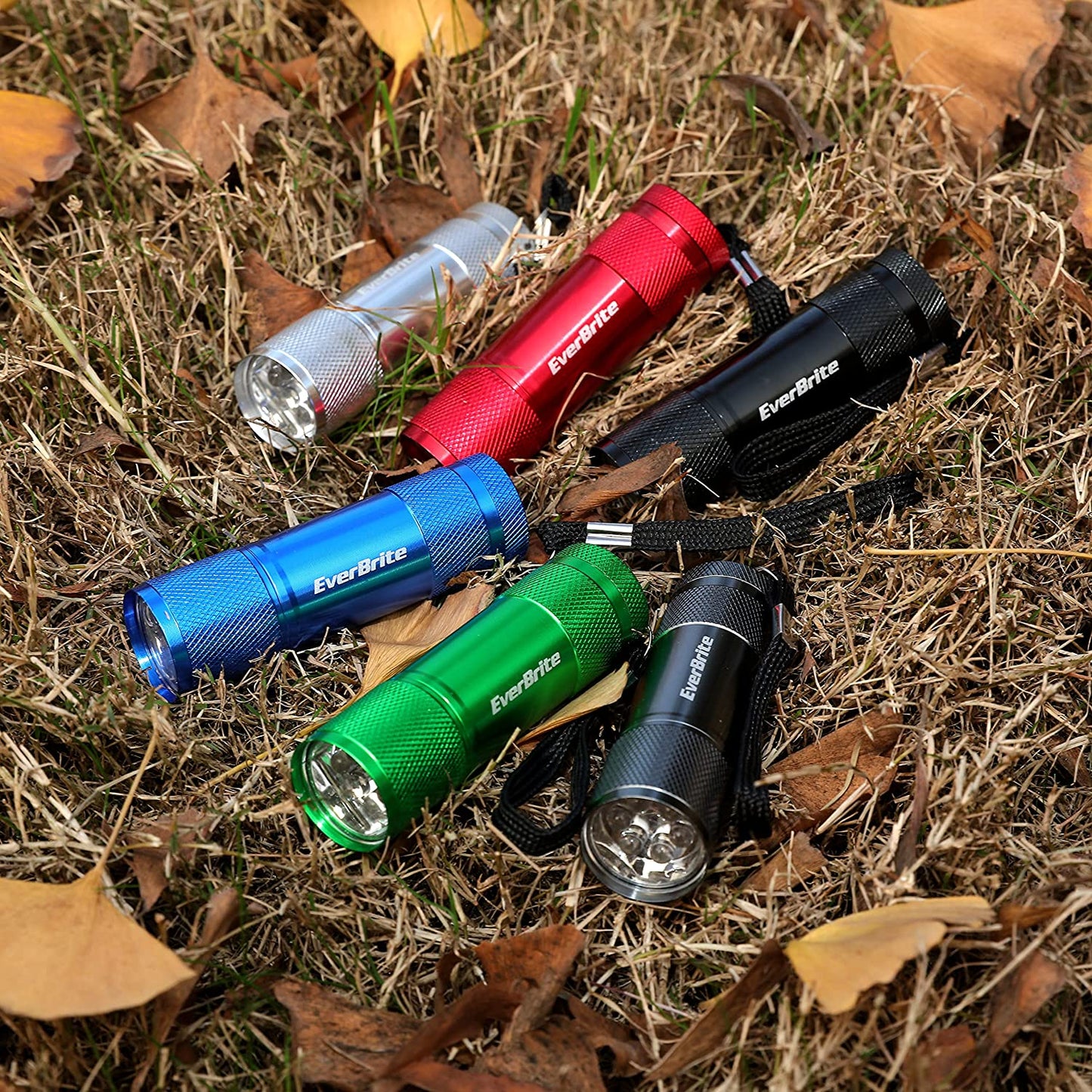 Everbrite 18-Pack LED Mini Pocket Torch, Small Keyring Torches Flashlight, Ideal for Kids Camping Hiking Traveling Cycling Outdoors Party, Batteries Included