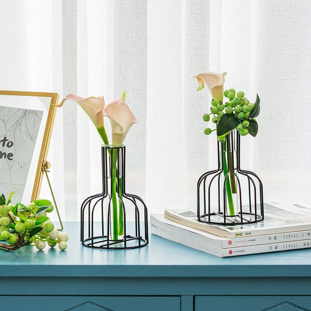 Glass Propagation Station with Metal Frame, Set of 2 Black Flower Vase, Test Tube Vase for Hydroponic Plant, Small Bud Vase for Home Kitchen Office Table Top Decor, Black