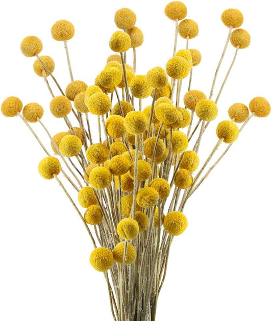 30Pcs Dried Craspedia Flowers Billy Button Balls Floral Bouquet Fake Silk Yellow Flowers Bouquet for DIY Flower Arrangements Wedding Party Home Office Decoration 50Cm