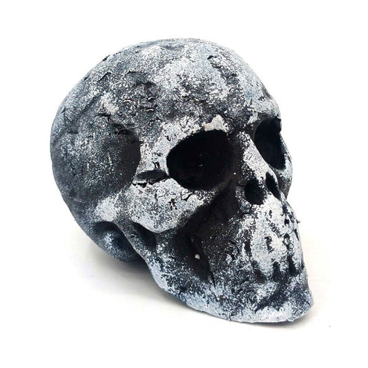 Small Foam Skull Head - 11cm