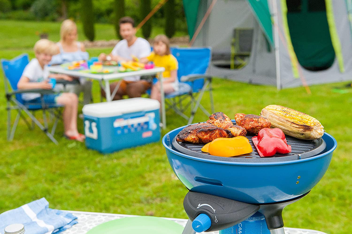 Camping gas outlet bbq